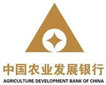 中国农业开展银行：综合报表平台